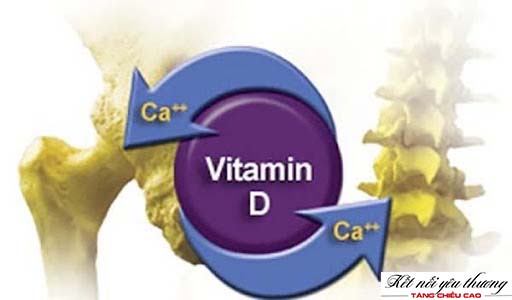 Vitamin D giúp cơ thể hấp thụ canxi hiệu quả