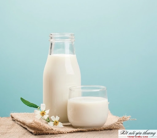Sữa và các chế phẩm từ sữa cung cấp canxi cần thiết cho xương