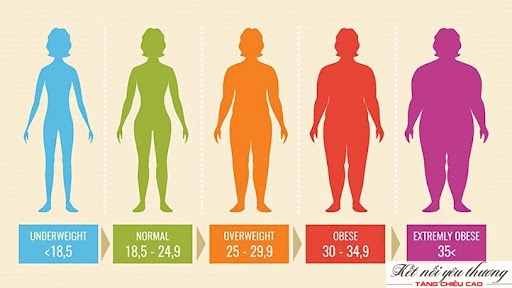 Chỉ số BMI cho nữ trưởng thành