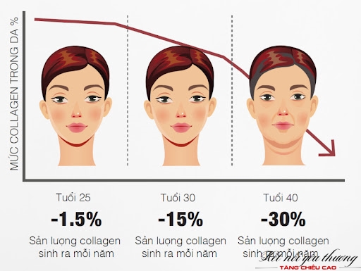 Suy giảm collagen và elastin là nguyên nhân đẩy nhanh tình trạng lão hóa da
