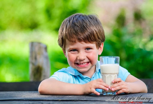 Dù ăn chay vẫn có thể uống sữa động vật để cải thiện chiều cao
