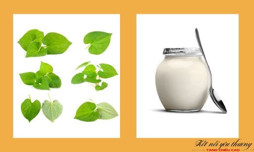 Sữa chua giúp trẻ hoá làn da và làm chậm những tác hại gây ra quá trình lão hoá 