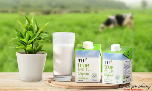 Sữa TH True Milk Organic