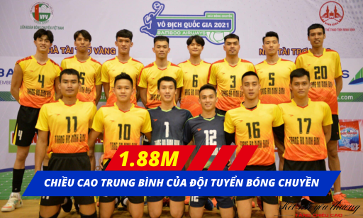 Chiều cao trung bình của đội tuyển bóng chuyền nam Việt Nam là 1m88