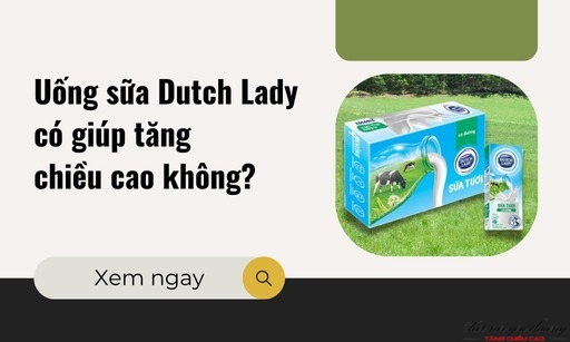 Dutch Lady là thương hiệu sữa lâu đời tại Hà Lan